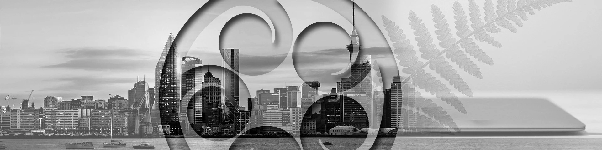 Auckland Chartered Accountants