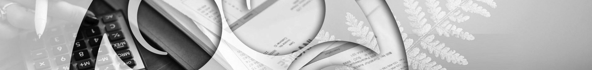 south aucklands best accountants