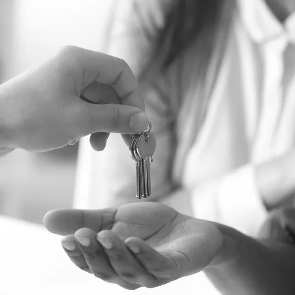 A Landlord’s Guide to Rental Profit Tax in NZ