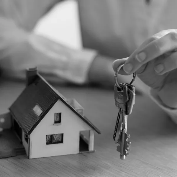 Rental Property Expenses Tax Deductible NZ