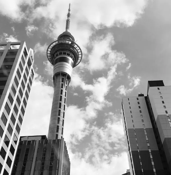 Commercial Property Accountants Who Understand Your World