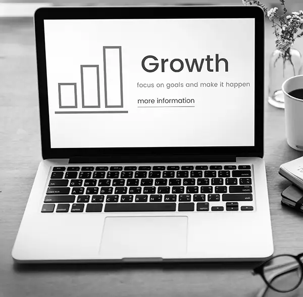 business growth
